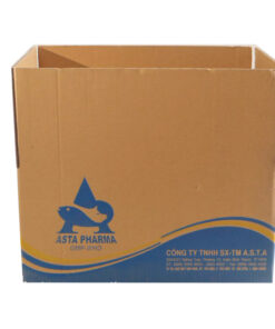 In thùng carton flexo M21 50x40x35 cm