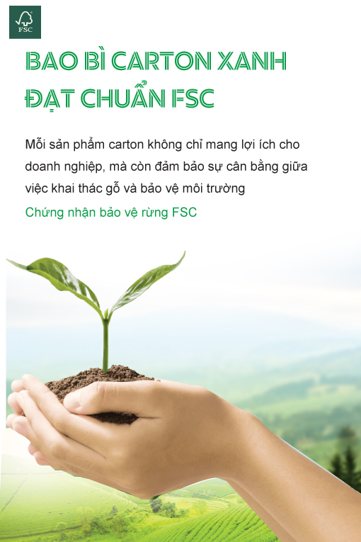 CÔNG TY TNHH BAO BÌ GIẤY TIẾN PHÁT