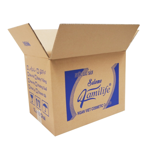 in thùng giấy đựng quà tết